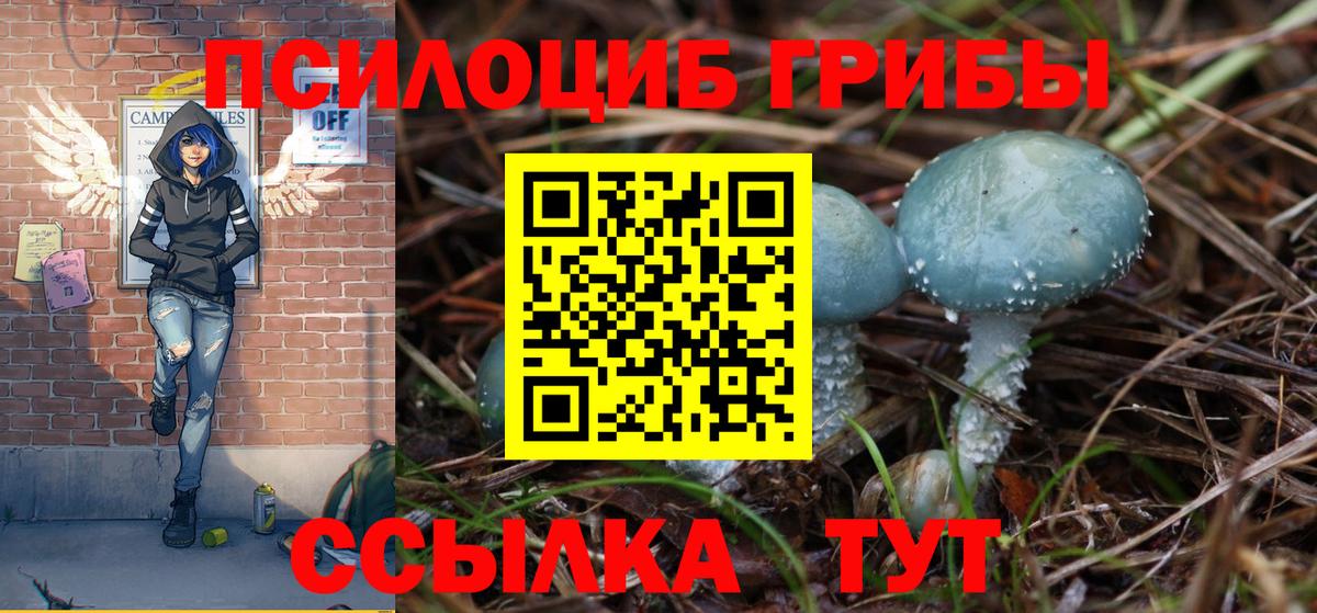Псилоцибиновые грибы Magic Shrooms  Вход с VPN  Клинцы  Галлюциногенные грибы мицелий 
